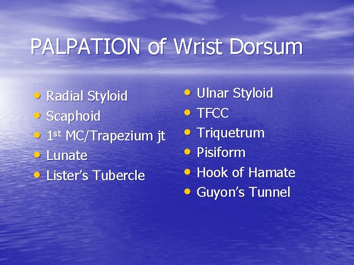 PALPATION of Wrist Dorsum • Radial Styloid • Scaphoid • 1 st MC/Trapezium jt