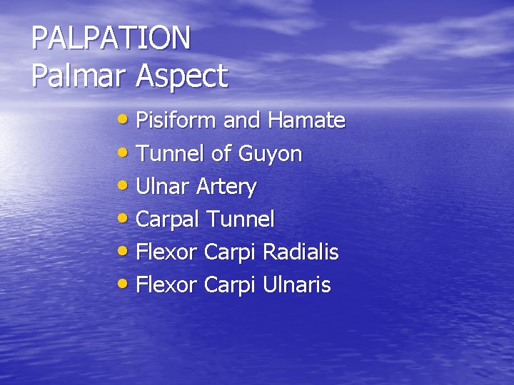 PALPATION Palmar Aspect • Pisiform and Hamate • Tunnel of Guyon • Ulnar Artery