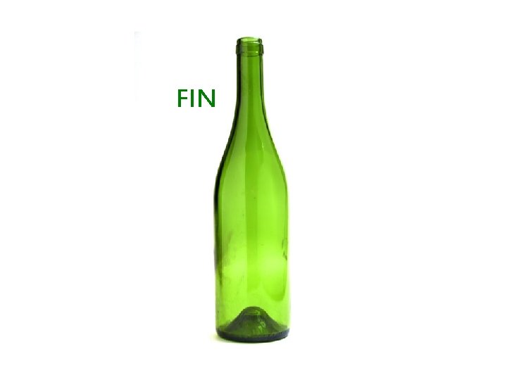 FIN 