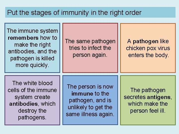 Put the stages of immunity in the right order The immune system remembers how