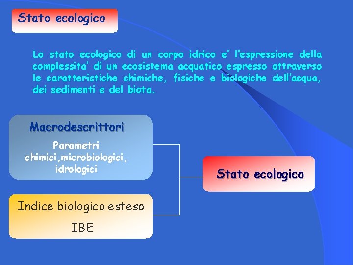 Stato ecologico Lo stato ecologico di un corpo idrico e’ l’espressione della complessita’ di
