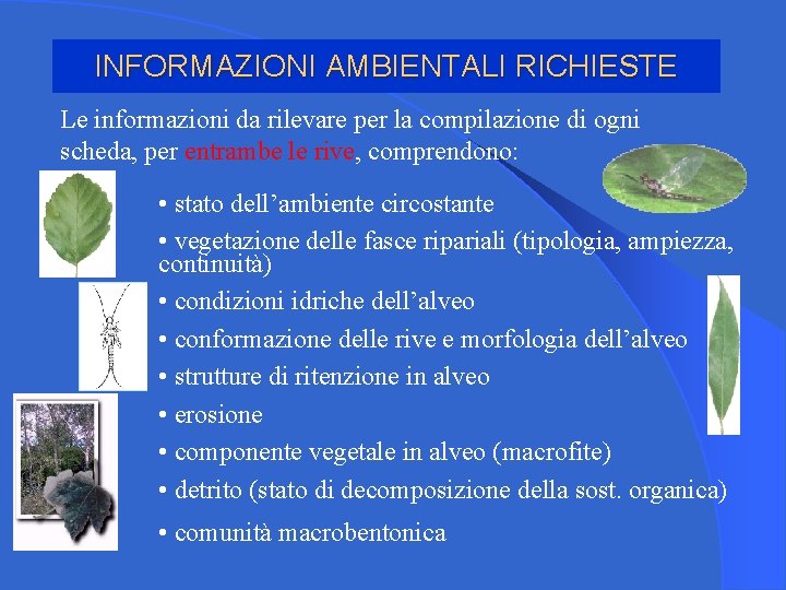 INFORMAZIONI AMBIENTALI RICHIESTE Le informazioni da rilevare per la compilazione di ogni scheda, per