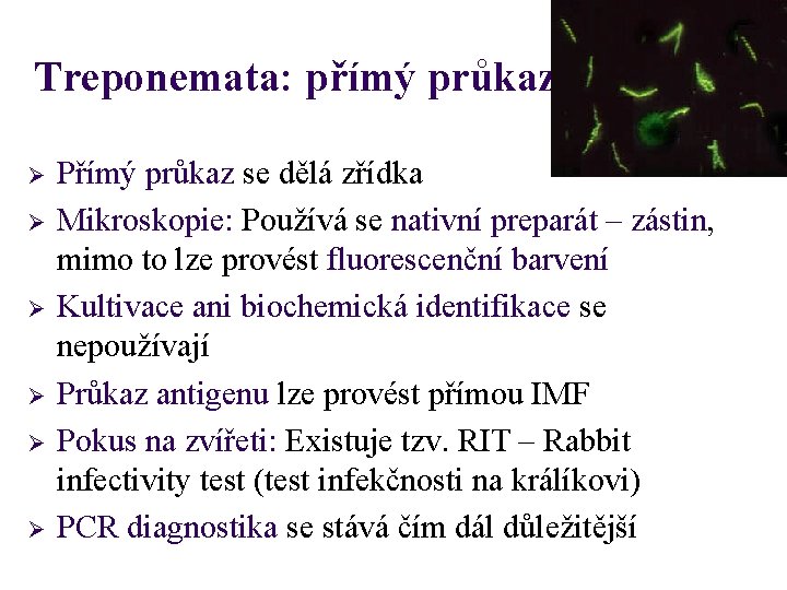 Treponemata: přímý průkaz Ø Ø Ø Přímý průkaz se dělá zřídka Mikroskopie: Používá se