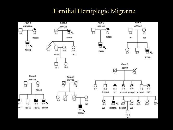 Familial Hemiplegic Migraine 