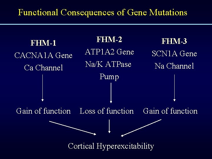 Functional Consequences of Gene Mutations FHM-2 FHM-3 ATP 1 A 2 Gene SCN 1