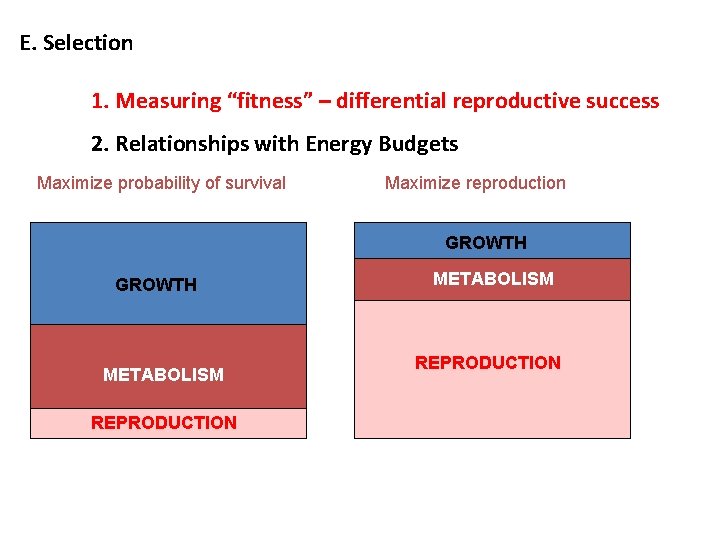 E. Selection 1. Measuring “fitness” – differential reproductive success 2. Relationships with Energy Budgets
