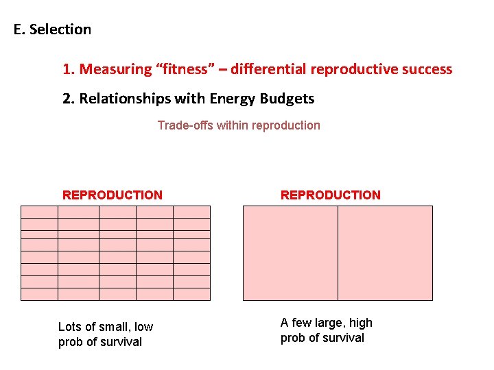 E. Selection 1. Measuring “fitness” – differential reproductive success 2. Relationships with Energy Budgets