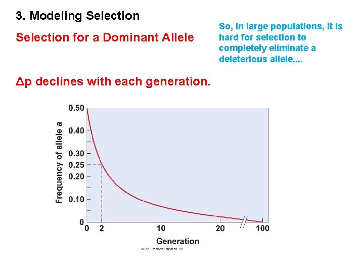 3. Modeling Selection for a Dominant Allele Δp declines with each generation. So, in