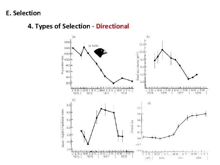 E. Selection 4. Types of Selection - Directional 