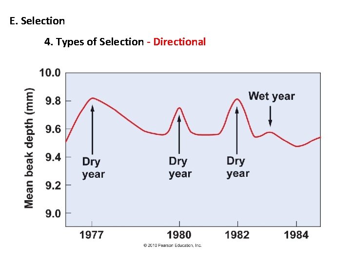 E. Selection 4. Types of Selection - Directional 