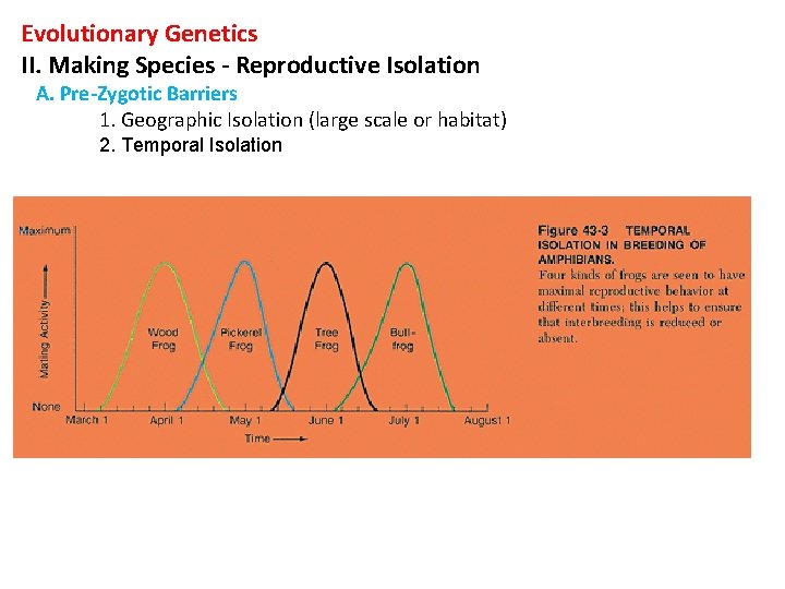 Evolutionary Genetics II. Making Species - Reproductive Isolation A. Pre-Zygotic Barriers 1. Geographic Isolation