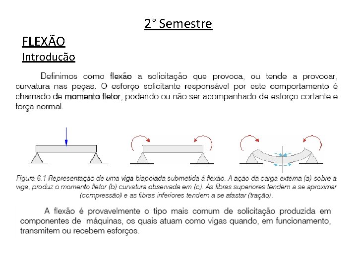 2° Semestre FLEXÃO Introdução 