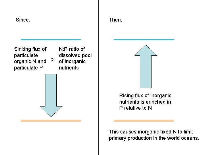 Since: Sinking flux of particulate organic N and particulate P Then: > N: P