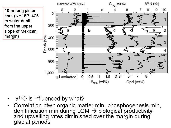 10 -m-long piston core (NH 15 P; 425 m water depth from the upper