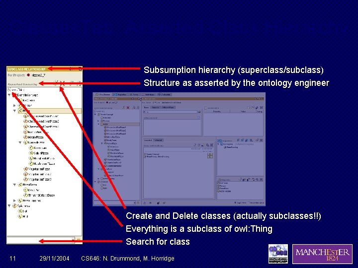 Classes. Tab: Asserted Class Hierarchy Subsumption hierarchy (superclass/subclass) Structure as asserted by the ontology