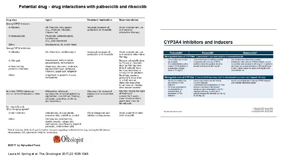 Potential drug‐drug interactions with palbociclib and ribociclib © 2017 by Alpha. Med Press Laura