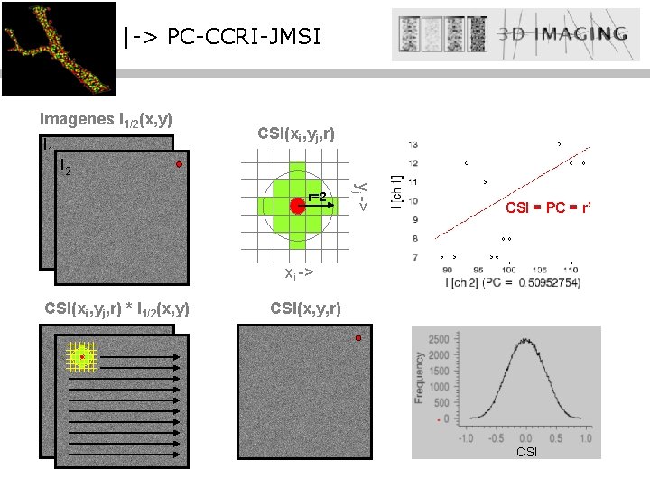 |-> PC-CCRI-JMSI Imagenes I 1/2(x, y) I 1 CSI(xi, yj, r) I 2 yj