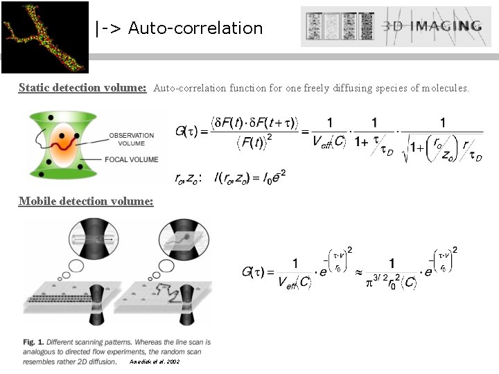 |-> Auto-correlation Static detection volume: Auto-correlation function for one freely diffusing species of molecules.