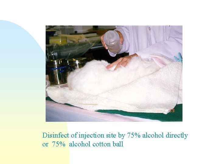 Disinfect of injection site by 75% alcohol directly or 75% alcohol cotton ball 