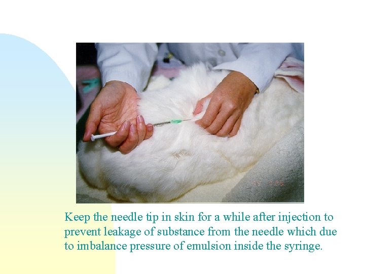 Keep the needle tip in skin for a while after injection to prevent leakage