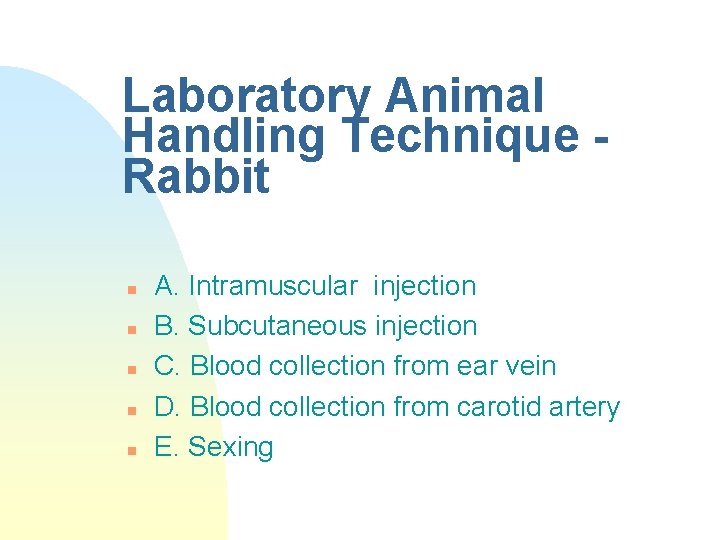 Laboratory Animal Handling Technique Rabbit n n n A. Intramuscular injection B. Subcutaneous injection