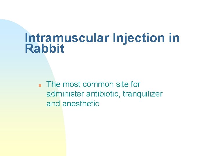 Intramuscular Injection in Rabbit n The most common site for administer antibiotic, tranquilizer and