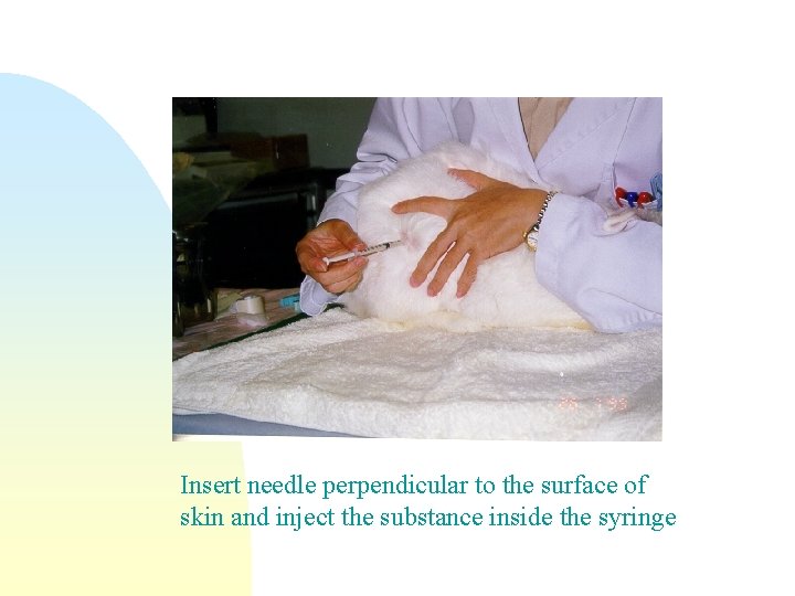 Insert needle perpendicular to the surface of skin and inject the substance inside the