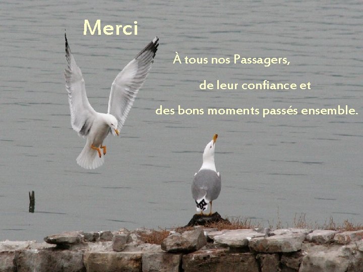 merci Merci À tous nos Passagers, de leur confiance et des bons moments passés