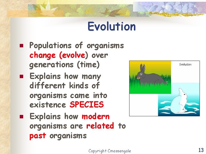 Evolution n Populations of organisms change (evolve) over generations (time) Explains how many different