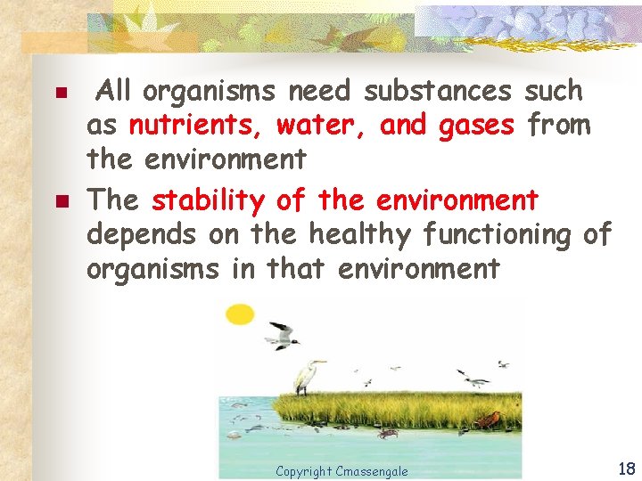 n n All organisms need substances such as nutrients, water, and gases from the