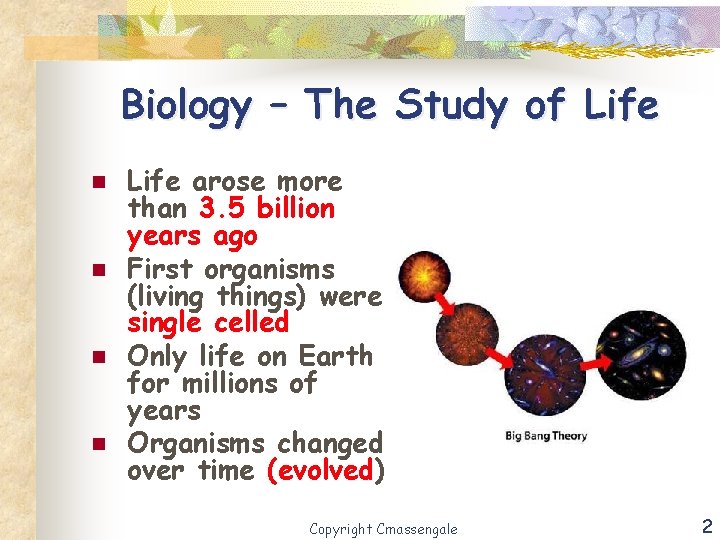 Biology – The Study of Life n n Life arose more than 3. 5