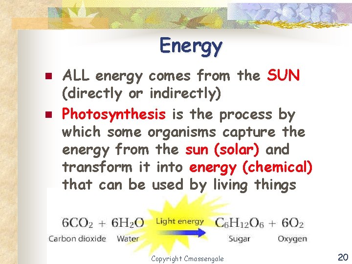 Energy n n ALL energy comes from the SUN (directly or indirectly) Photosynthesis is