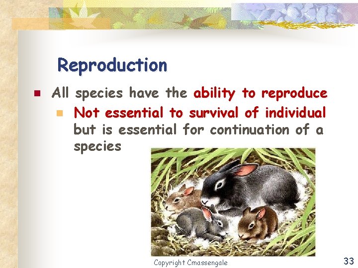 Reproduction n All species have the ability to reproduce n Not essential to survival