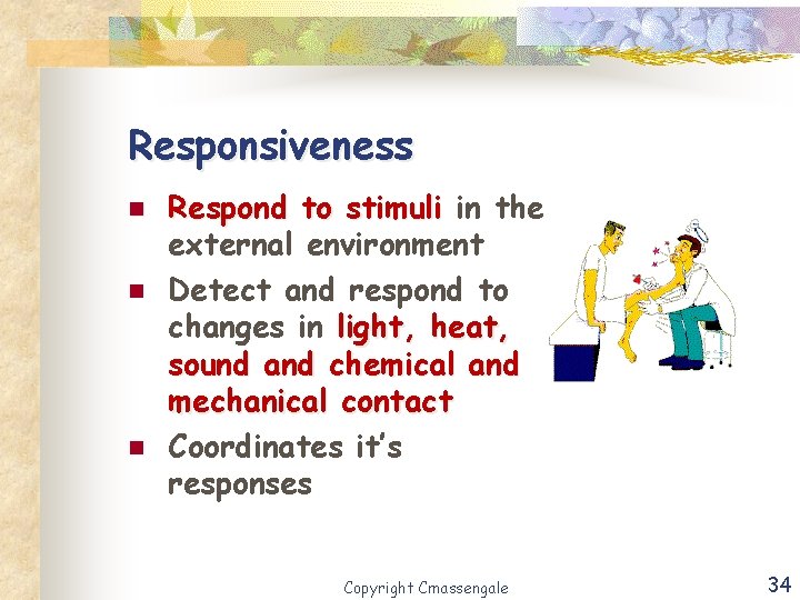 Responsiveness n n n Respond to stimuli in the external environment Detect and respond