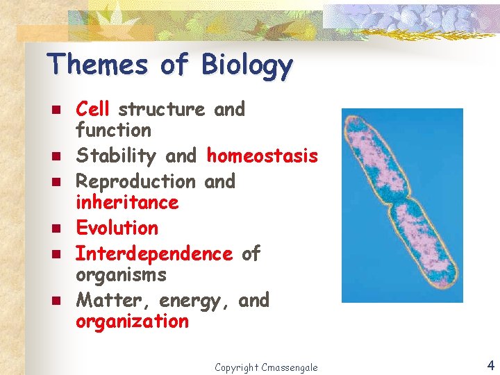 Themes of Biology n n n Cell structure and function Stability and homeostasis Reproduction