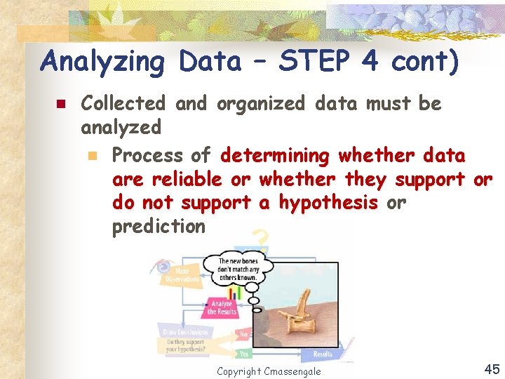 Analyzing Data – STEP 4 cont) n Collected and organized data must be analyzed