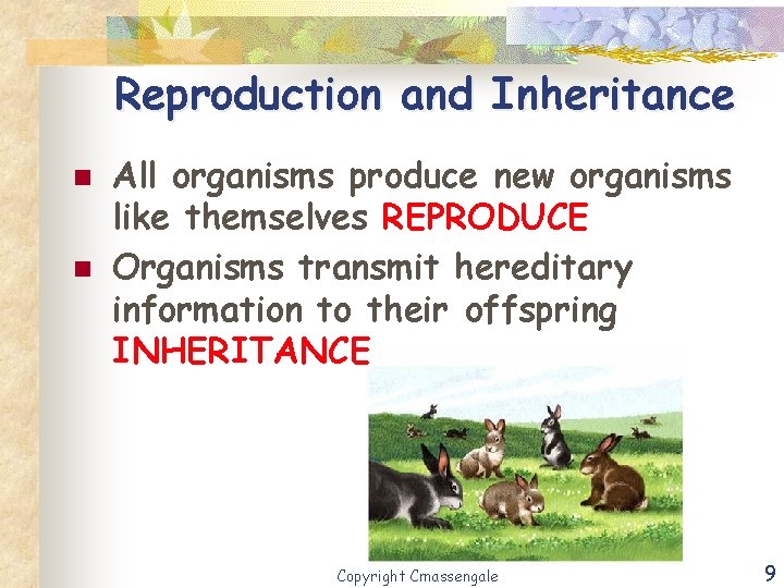 Reproduction and Inheritance n n All organisms produce new organisms like themselves REPRODUCE Organisms