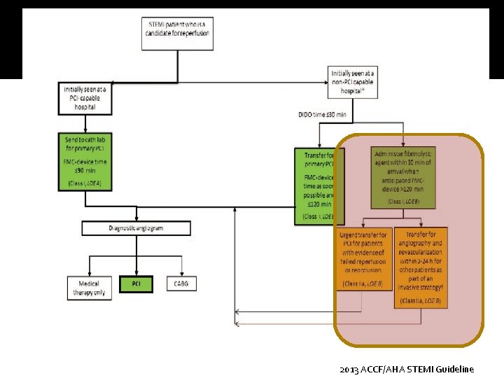2013 ACCF/AHA STEMI Guideline 