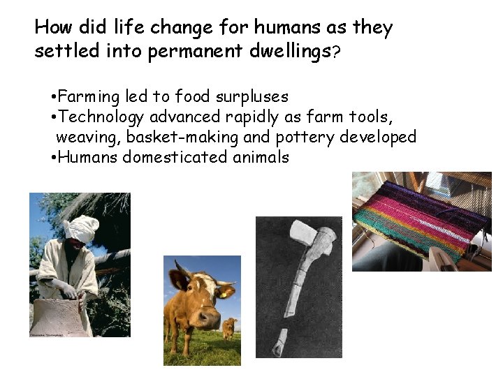 How did life change for humans as they settled into permanent dwellings? • Farming