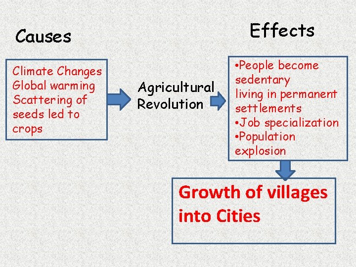 Effects Causes Climate Changes Global warming Scattering of seeds led to crops Agricultural Revolution