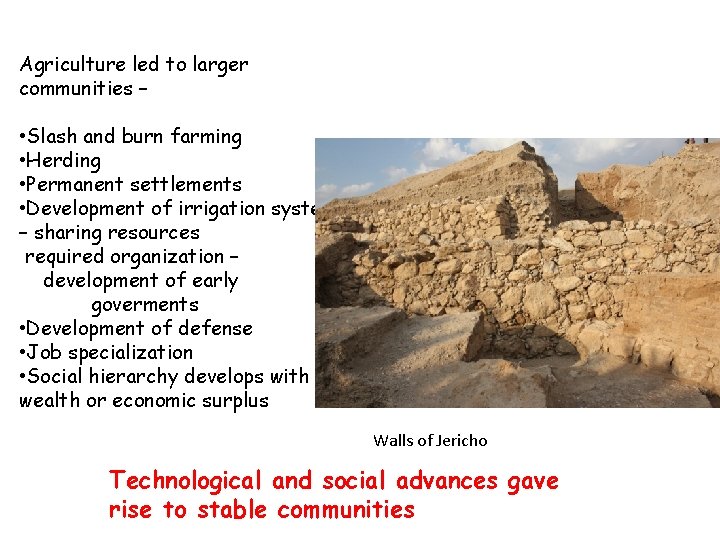 Agriculture led to larger communities – • Slash and burn farming • Herding •