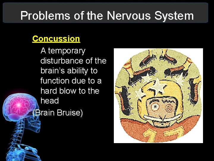 Problems of the Nervous System Concussion A temporary disturbance of the brain’s ability to