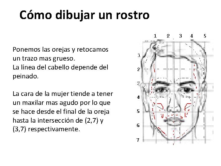 Cómo dibujar un rostro Ponemos las orejas y retocamos un trazo mas grueso. La