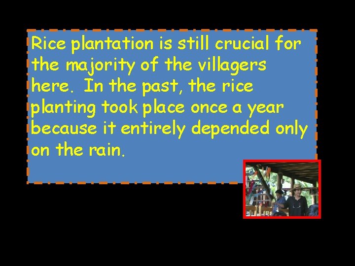 Rice plantation is still crucial for the majority of the villagers here. In the