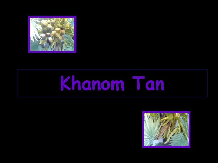 Khanom Tan 