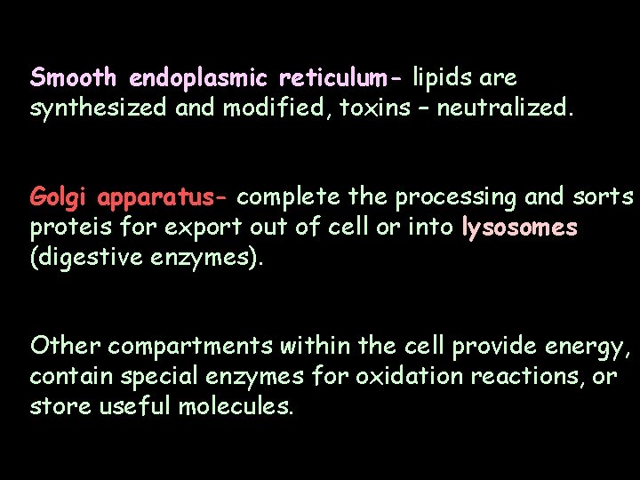 Smooth endoplasmic reticulum- lipids are synthesized and modified, toxins – neutralized. Golgi apparatus- complete