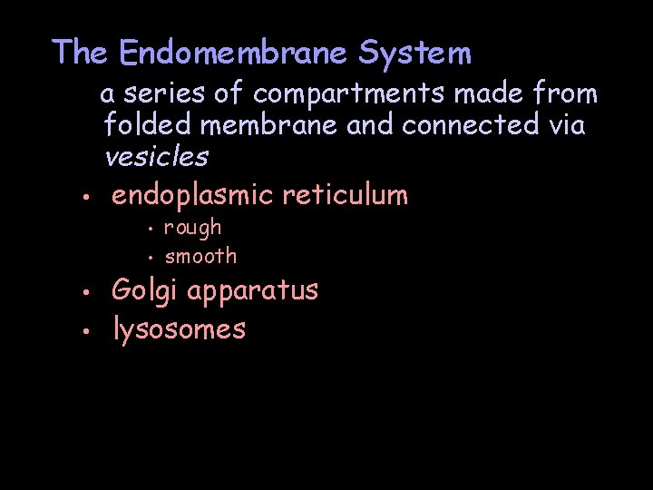 The Endomembrane System • a series of compartments made from folded membrane and connected