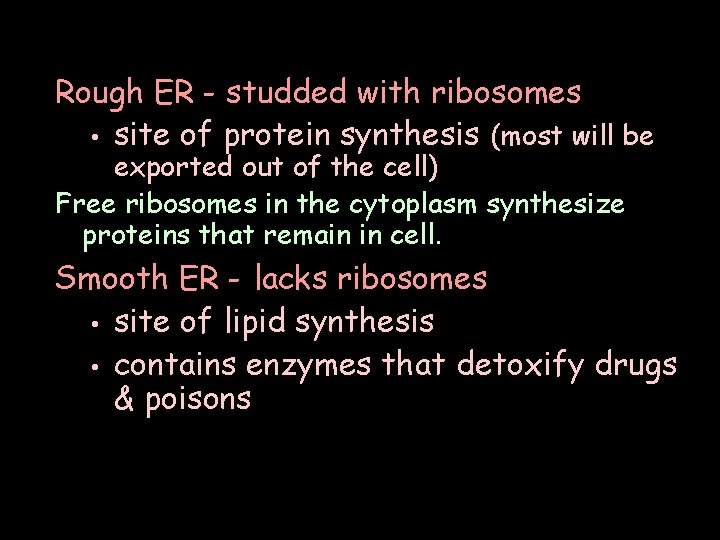 Rough ER - studded with ribosomes • site of protein synthesis (most will be