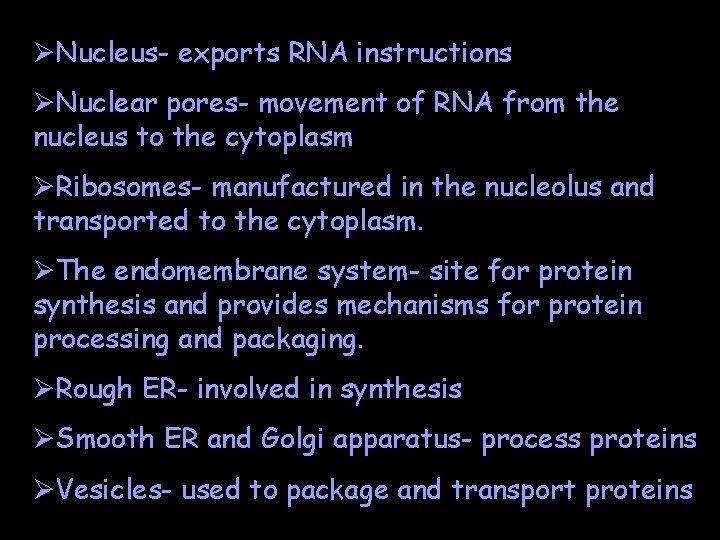 ØNucleus- exports RNA instructions ØNuclear pores- movement of RNA from the nucleus to the
