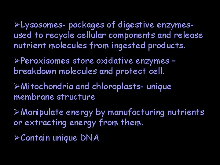 ØLysosomes- packages of digestive enzymesused to recycle cellular components and release nutrient molecules from